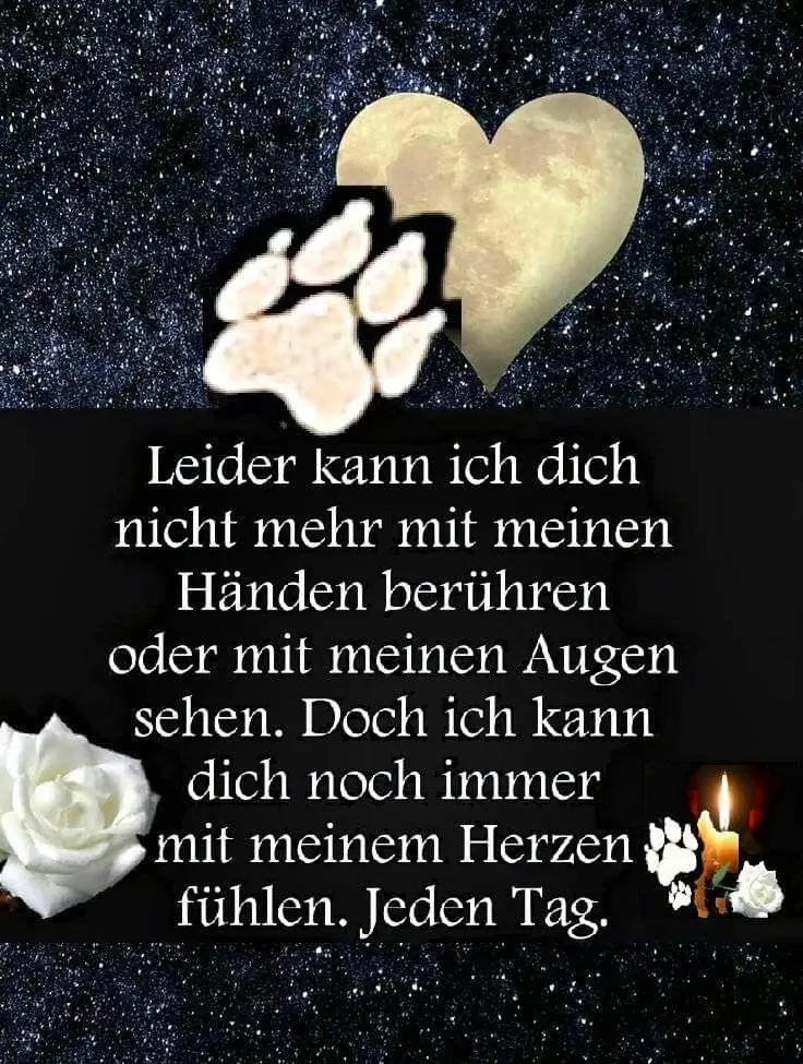 Condolence image of Nancy mit Ronny im ❤️