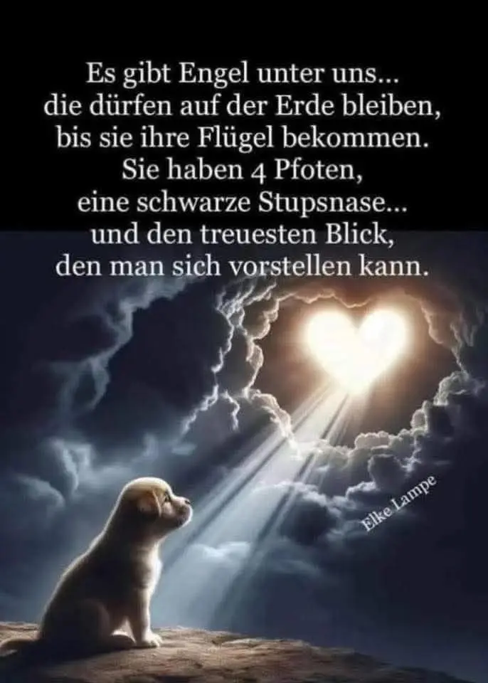 Condolence image of Rolf Bertram