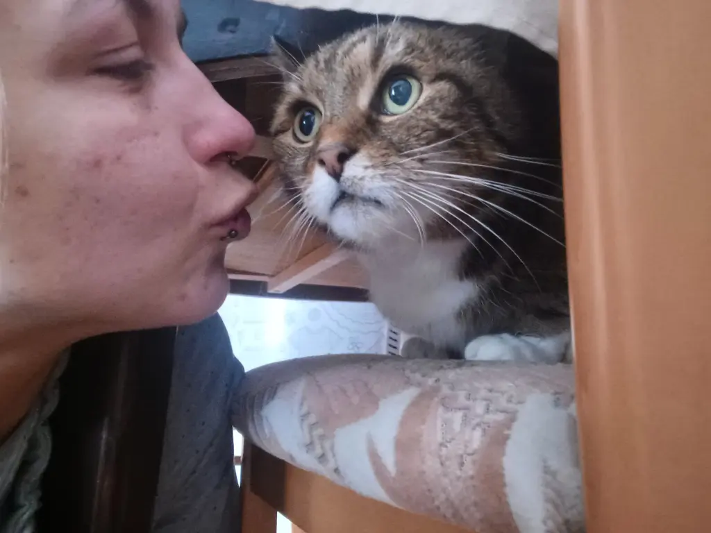 Condolence image of Jay