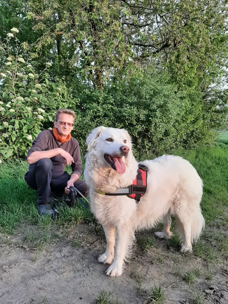 Ruhe Pause mit Herrchen