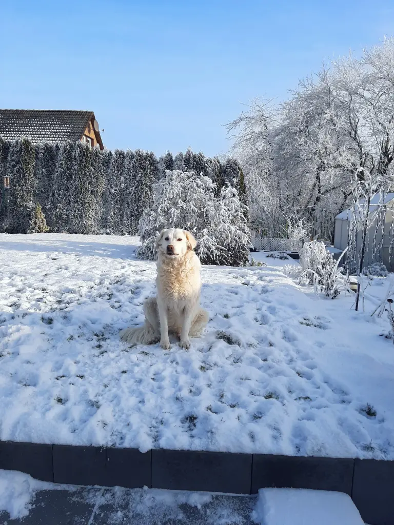 Federica liebte Schnee