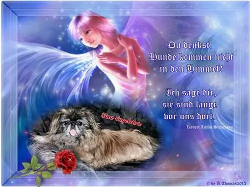 Image from meine allerliebste süße Sina