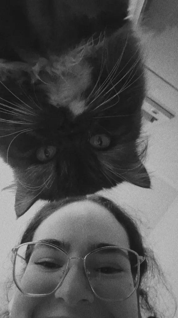 Bild von Lilly