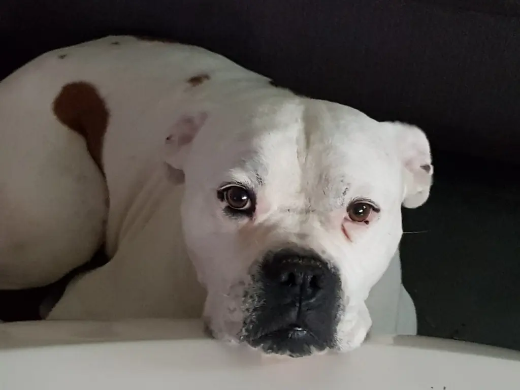 Condolence image of Sarah Reiff