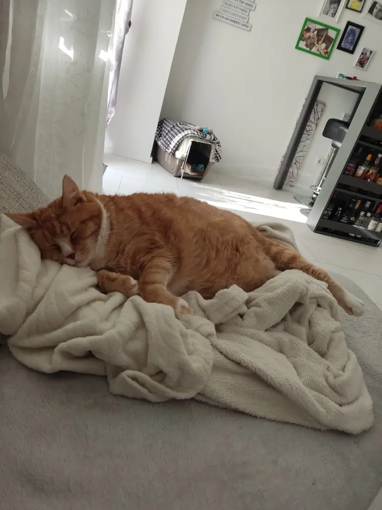 Bild von Micki