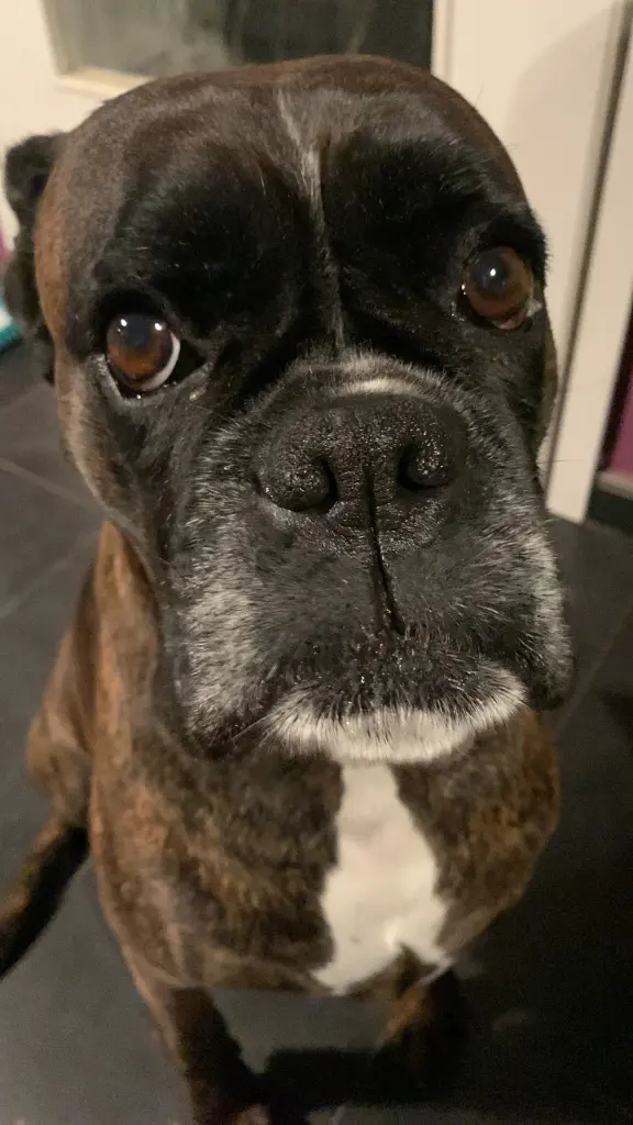 Condolence image of Michaela Green