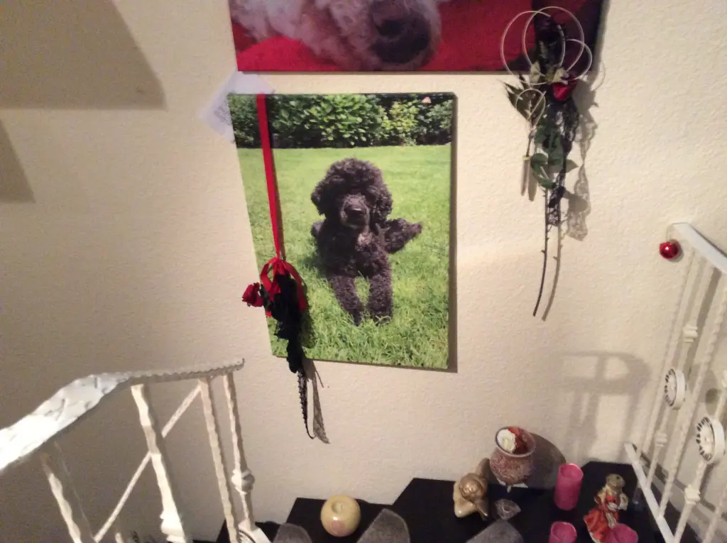 Condolence image of Heidi