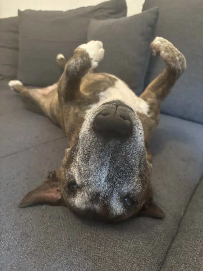 Condolence image of Marleen Gögler