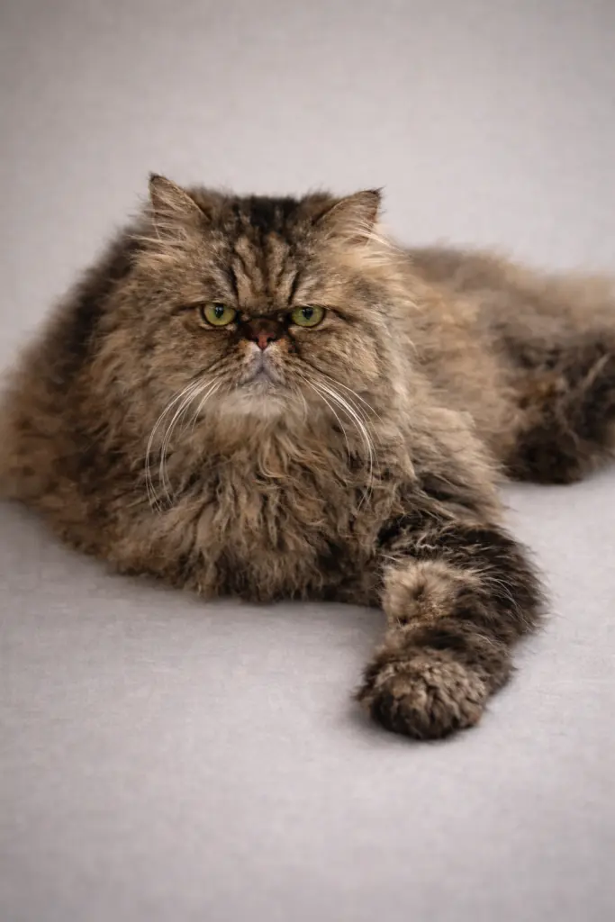 Condolence image of Thomas Wendler