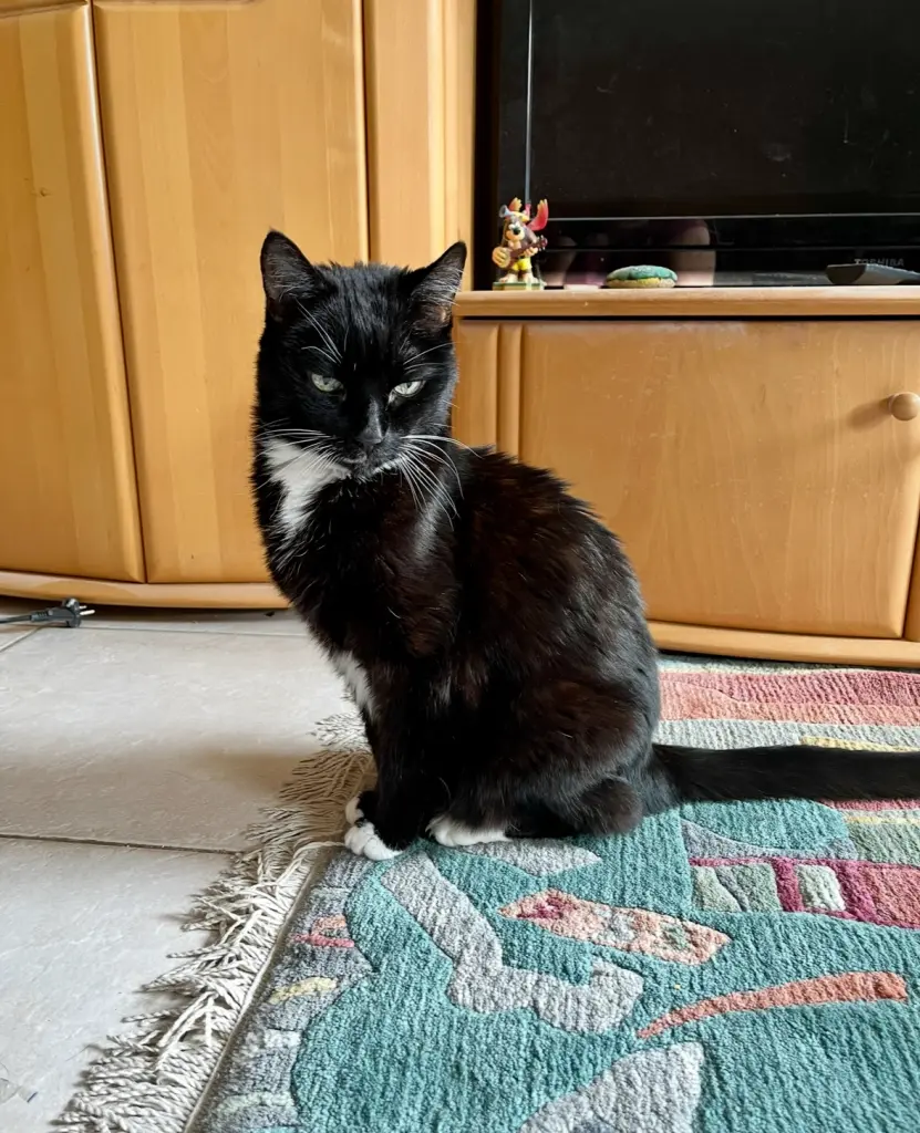 Bild von Maya