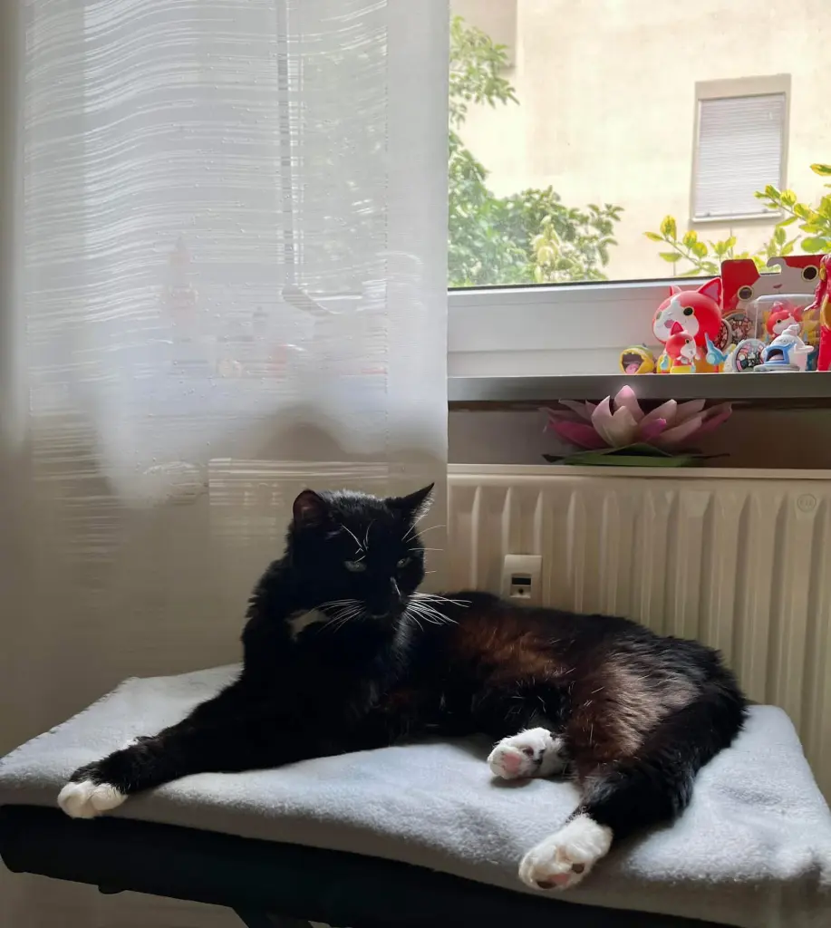 Bild von Maya
