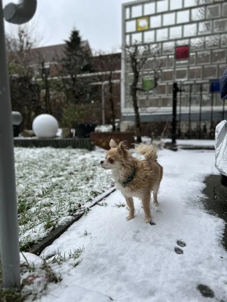 Condolence image of Lina Nagel