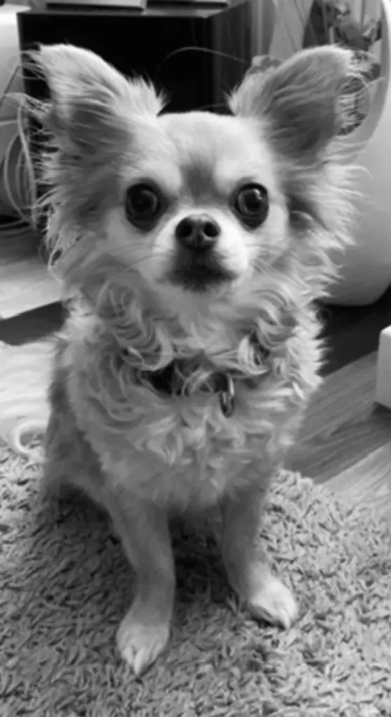 Condolence image of Lena Balu