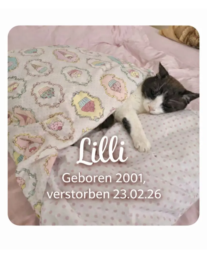 Bild von Lilli