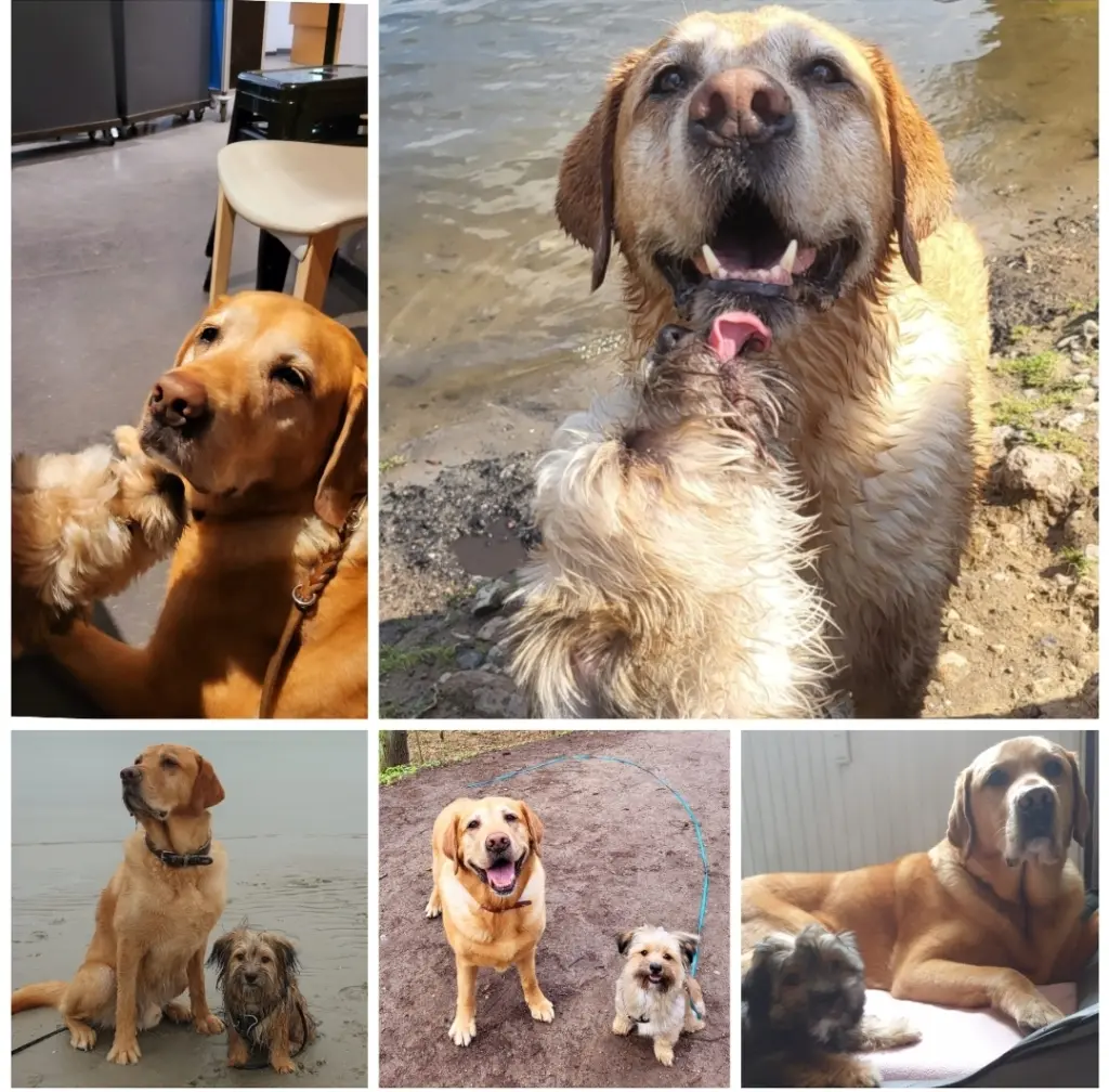 Condolence image of Kathi + Carlo