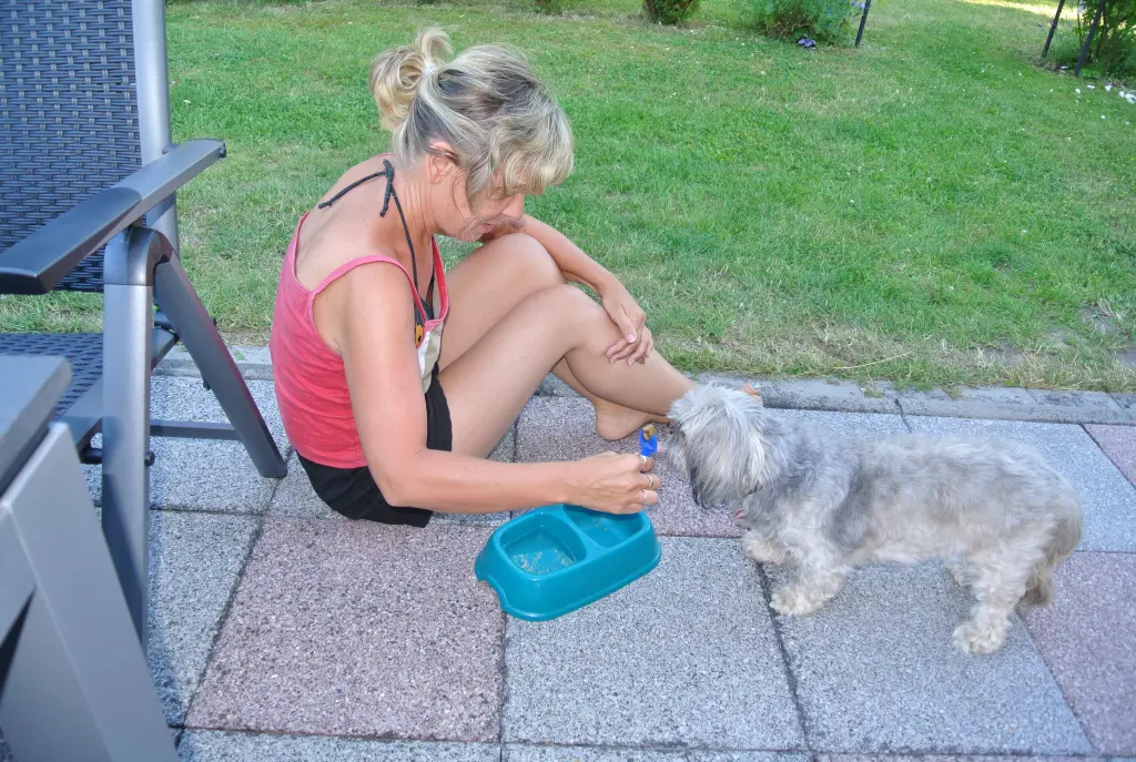 Condolence image of Kathrin mit Susi im Herzen