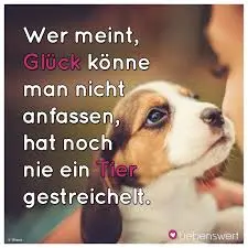Condolence image of Nelly und Freunde, Regenbogenland