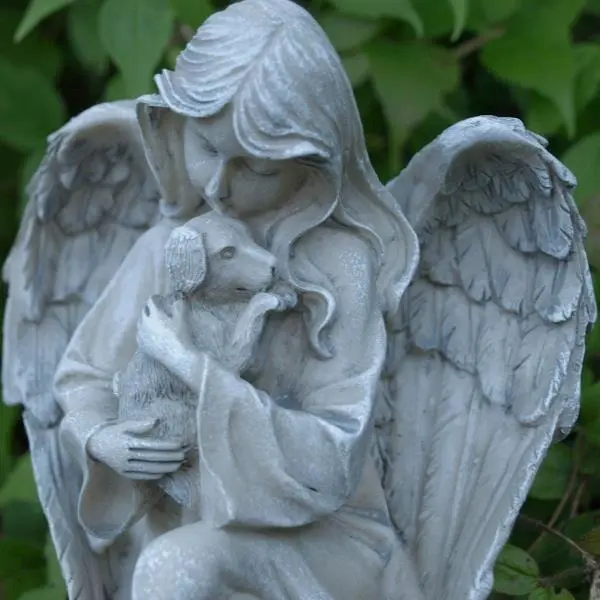 Condolence image of 30.04.2018 