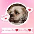 Condolence image of ❤️❤️❤️BALOU❤️❤️❤️