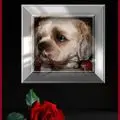 Condolence image of ❤️❤️❤️