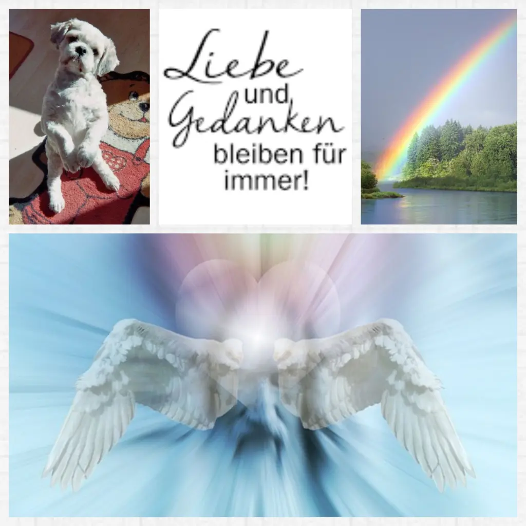 Condolence image of Anja mit Joy im Herzen ❤