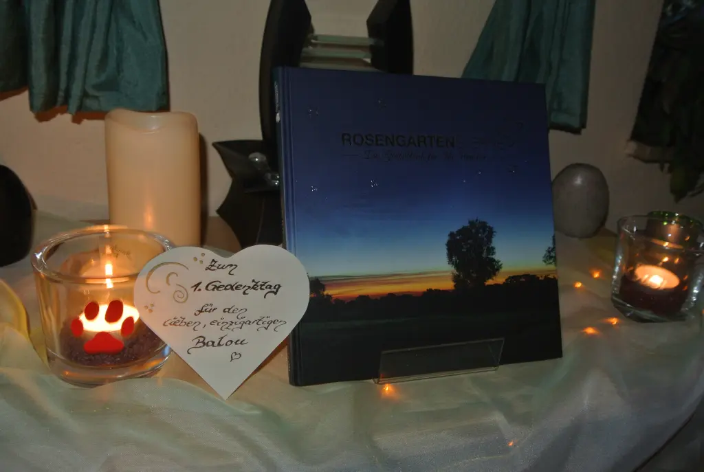 Condolence image of Kathrin mit Susi im Herzen
