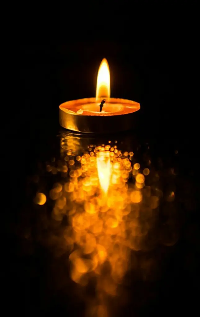Condolence image of Ilse mit Jule, Gismo, Fee und Minna tief im Herzen