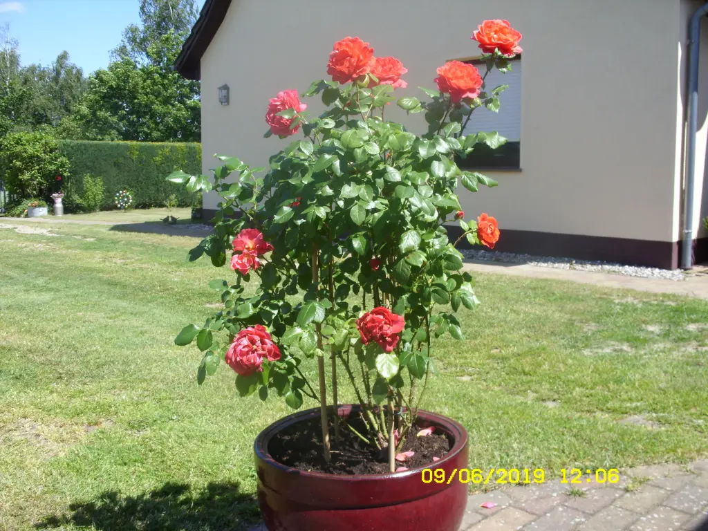 Condolence image of Unbekannt