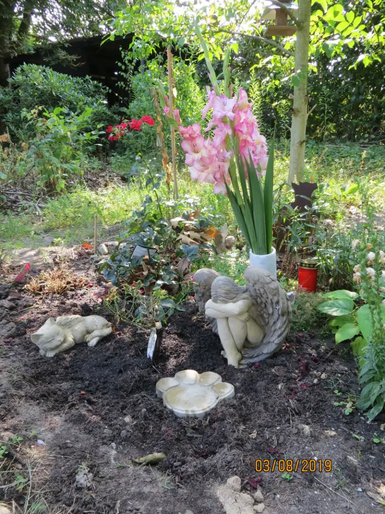 Condolence image of Uschi mit Seelenfreunden Shiva, Jojo und Merlin