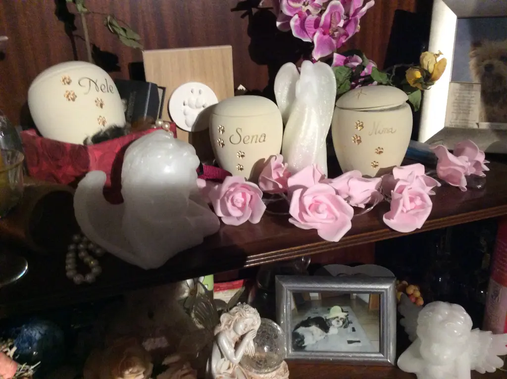 Condolence image of Heidi 