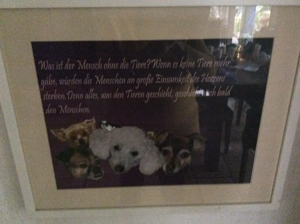 Condolence image of Heidi 