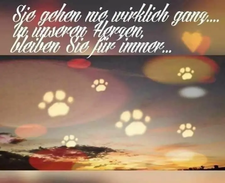 Condolence image of Unbekannt