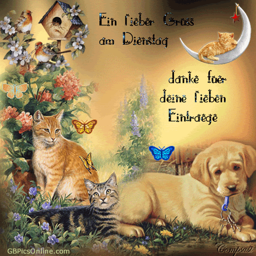 Condolence image of Brigitte mit Nelly, Benny und Axel im Herzen
