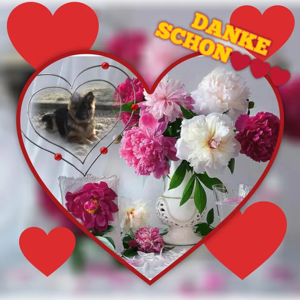 Condolence image of ❤️DANKE SCHON❤️