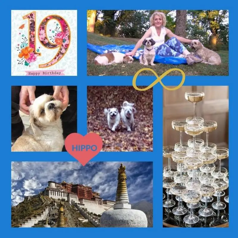 Condolence image of Bon anniversaire, mon cher Balou
