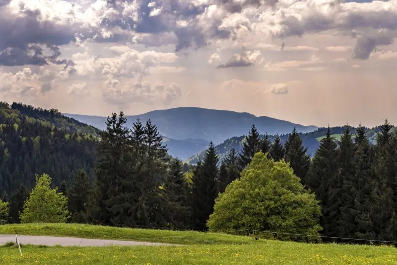 Condolence image of Balou, Regenbogenland
