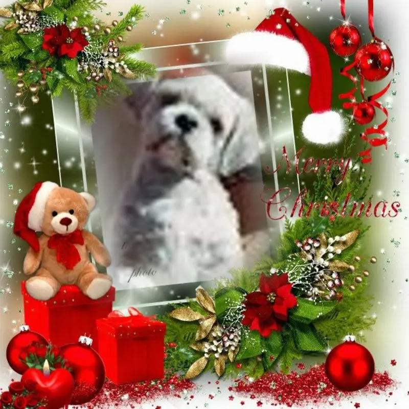 Condolence image of ❤️WEIHNACHTEN❤️❤️❤️