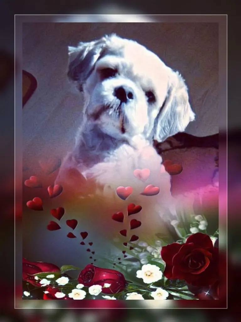 Condolence image of Ellen mit Lina ❤️