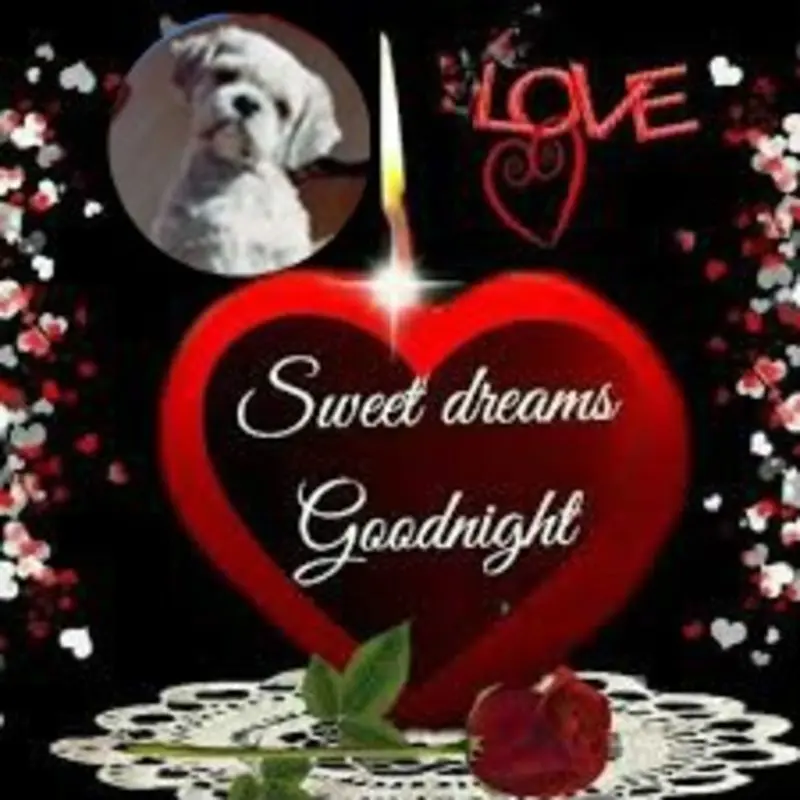 Condolence image of Gute Nacht❤️❤️❤️