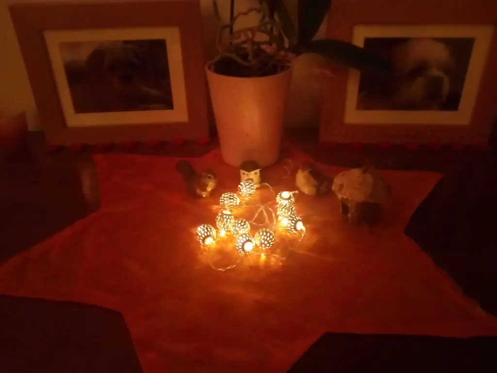 Condolence image of Frauchen