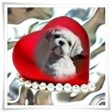 Condolence image of Fur Liebste❤️❤️❤️❤️❤️❤️❤️Balouchen❤️