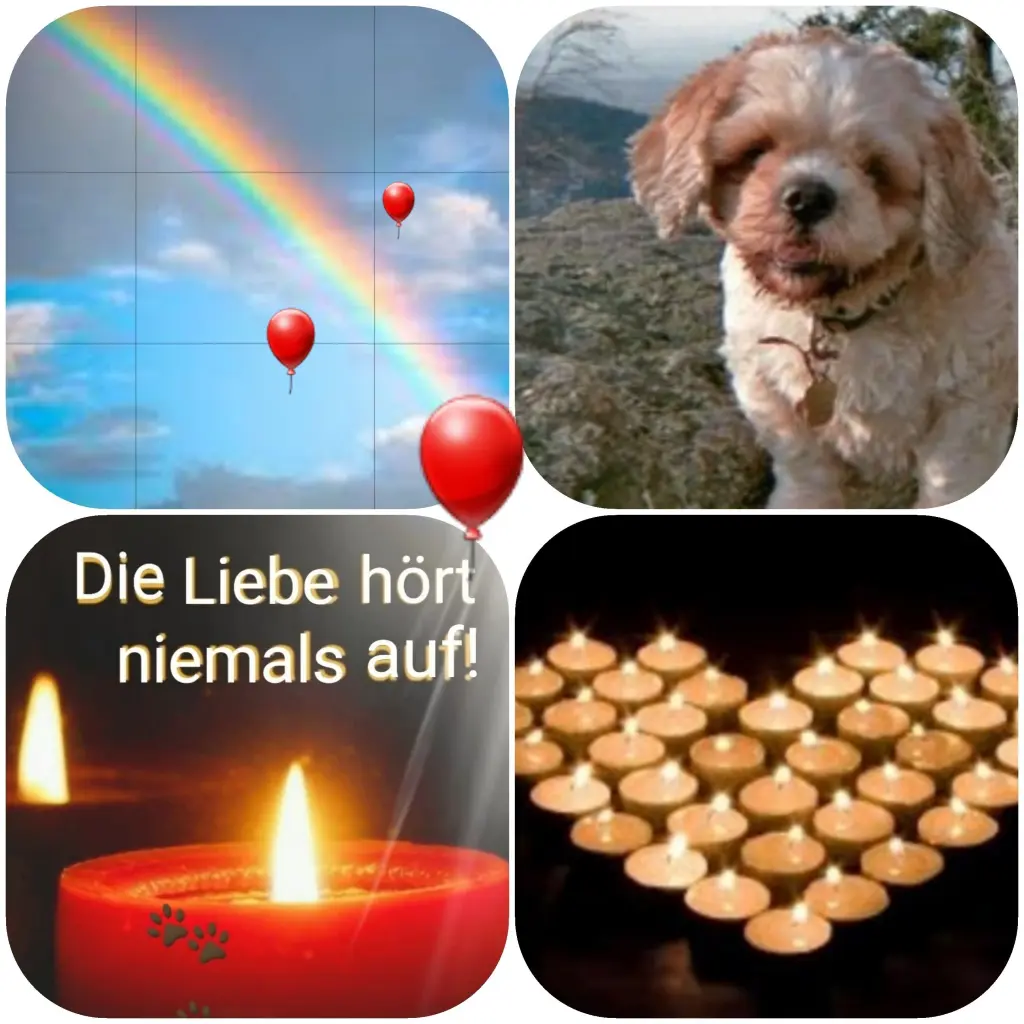 Condolence image of Unbekannt