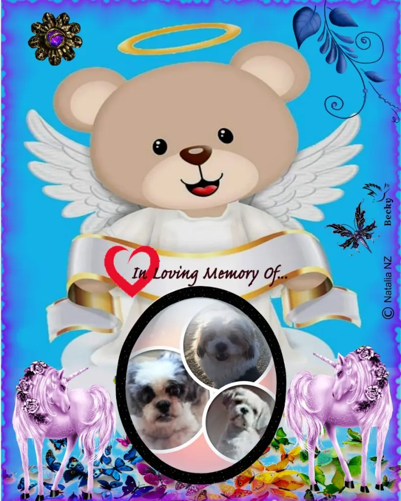 Condolence image of Fur Liebste❤️❤️❤️❤️❤️❤️❤️Balouleinchen❤️Missyleinchen❤️und Hippoleinchen❤️
