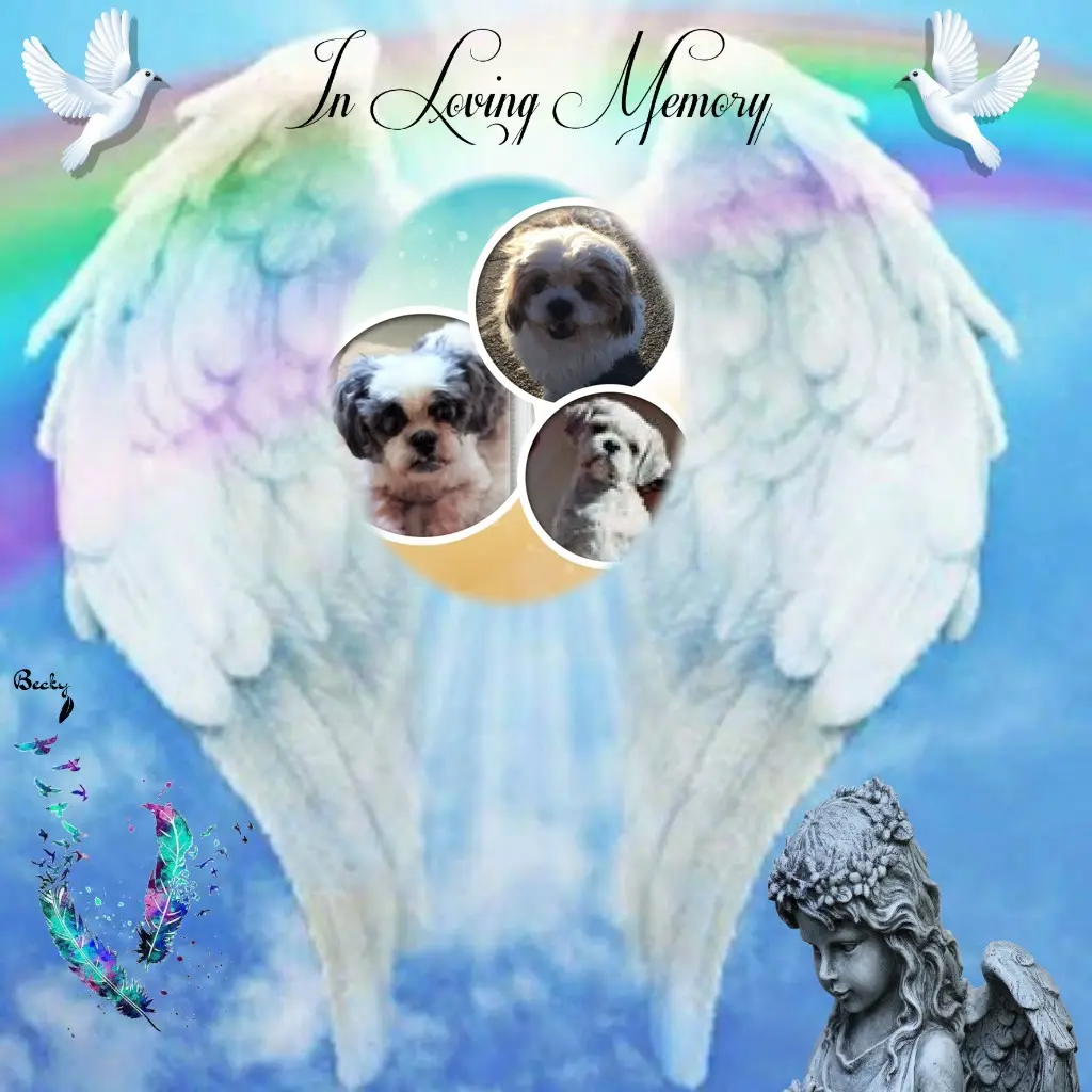 Condolence image of Frauchen