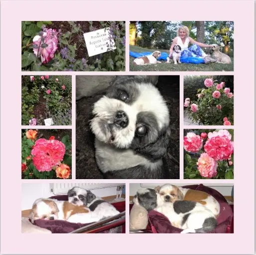 Condolence image of 3 Wochen...