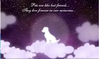 Condolence image of Deux rêves de toi
