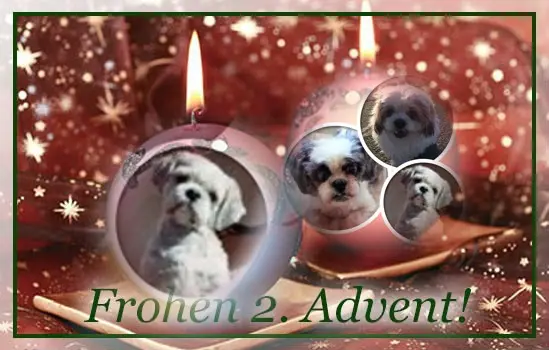 Condolence image of Rosen zum Wiederzusammensein seit 30 Wochen ❀✰♥