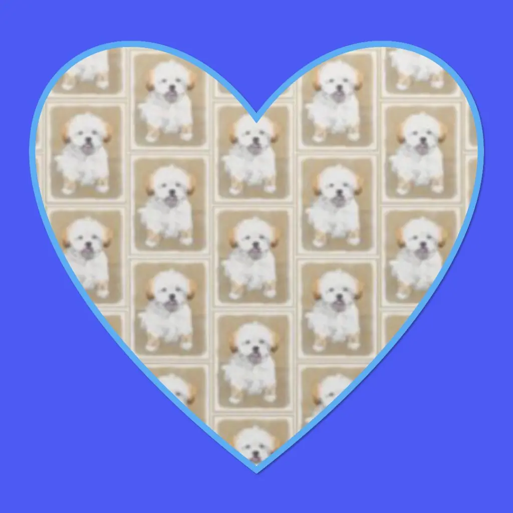Condolence image of Ein Röschen für Balou