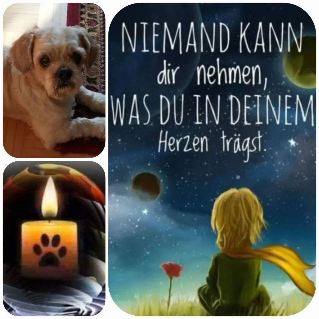Condolence image of Birgit