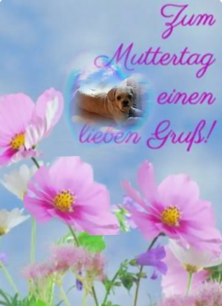 Condolence image of ❤Rosen zum Muttertag❤